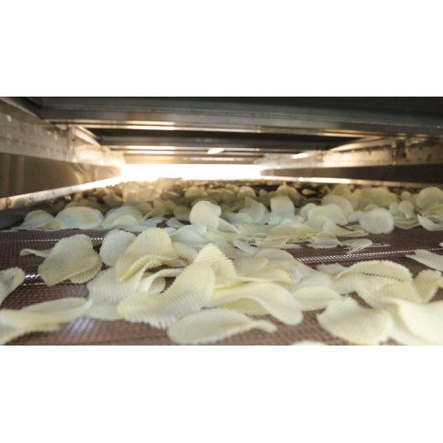 China Potato Chips drying process Factory